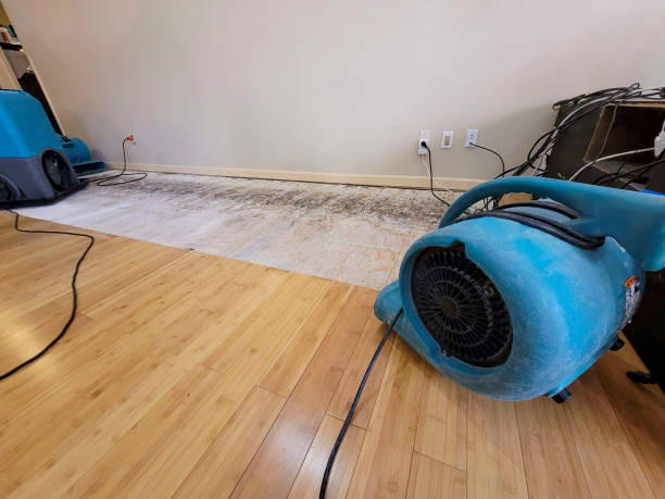 Professional Basement Flood Cleanup technician working in Albany, LA